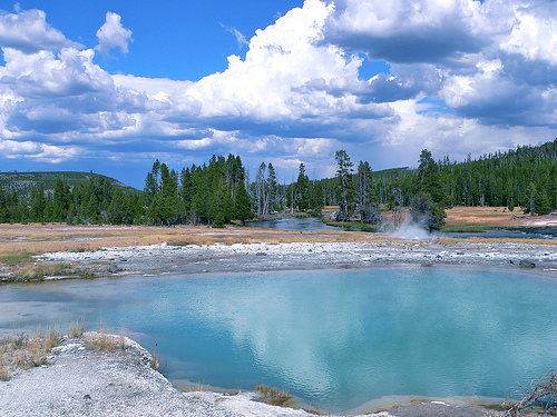 yellowstone lodge photo