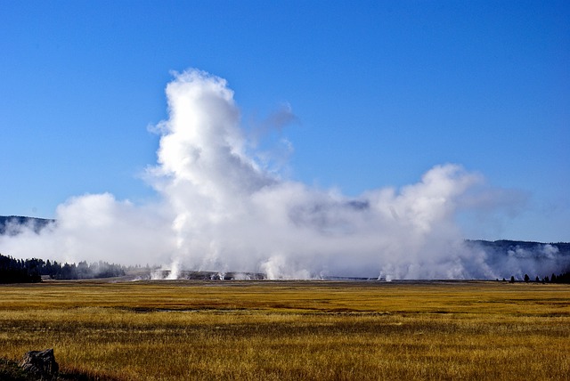 Yellowstone spring photo