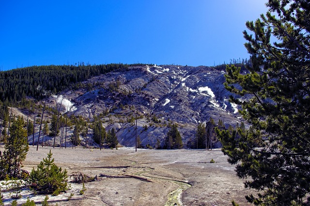 Yellowstone National Park  photo