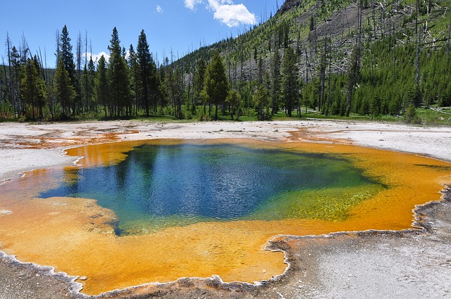 Yellowstone spring photo