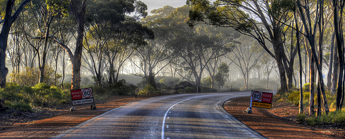 Highway 1 photo