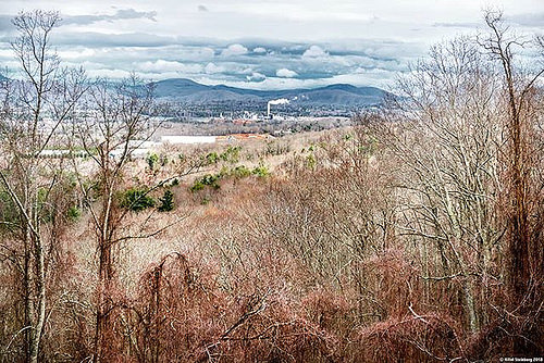 Blue Ridge Parkway photo