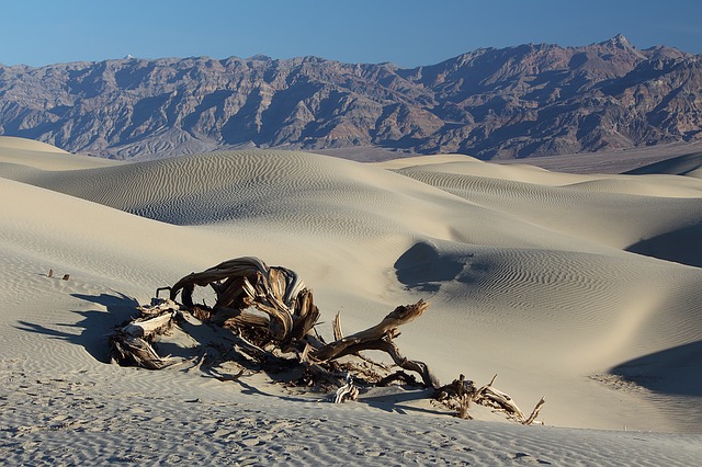 Death Valley photo