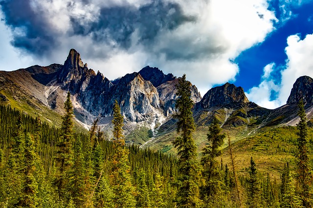 Yosemite National Park photo