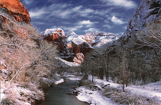 Zion National Park photo