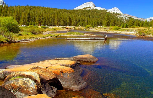 Yosemite National Park photo