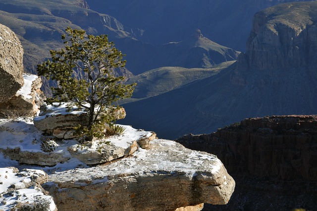 grand canyon view photo