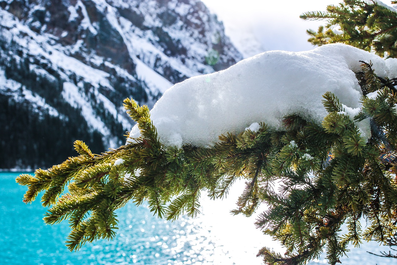 Banff National Park photo