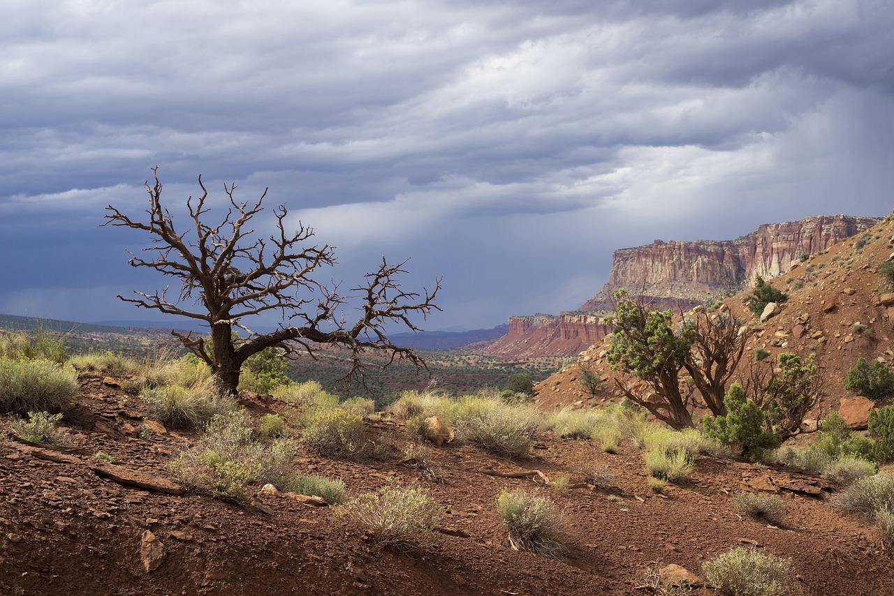 Capitol Reef National photo