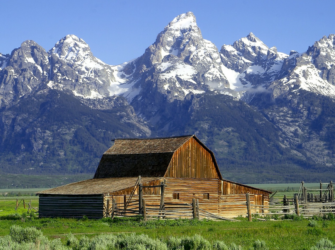 Grand Teton photo