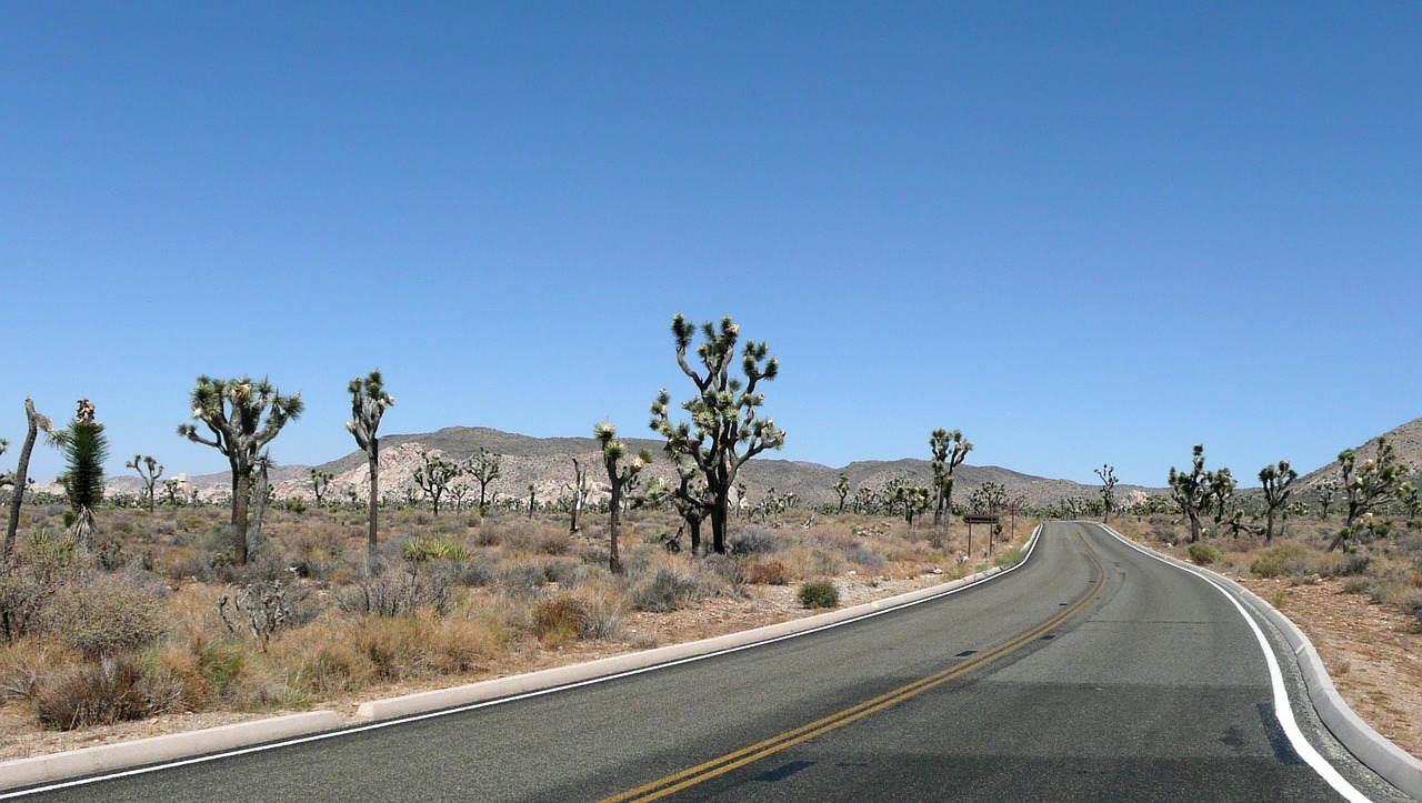 Joshua Tree National Park photo