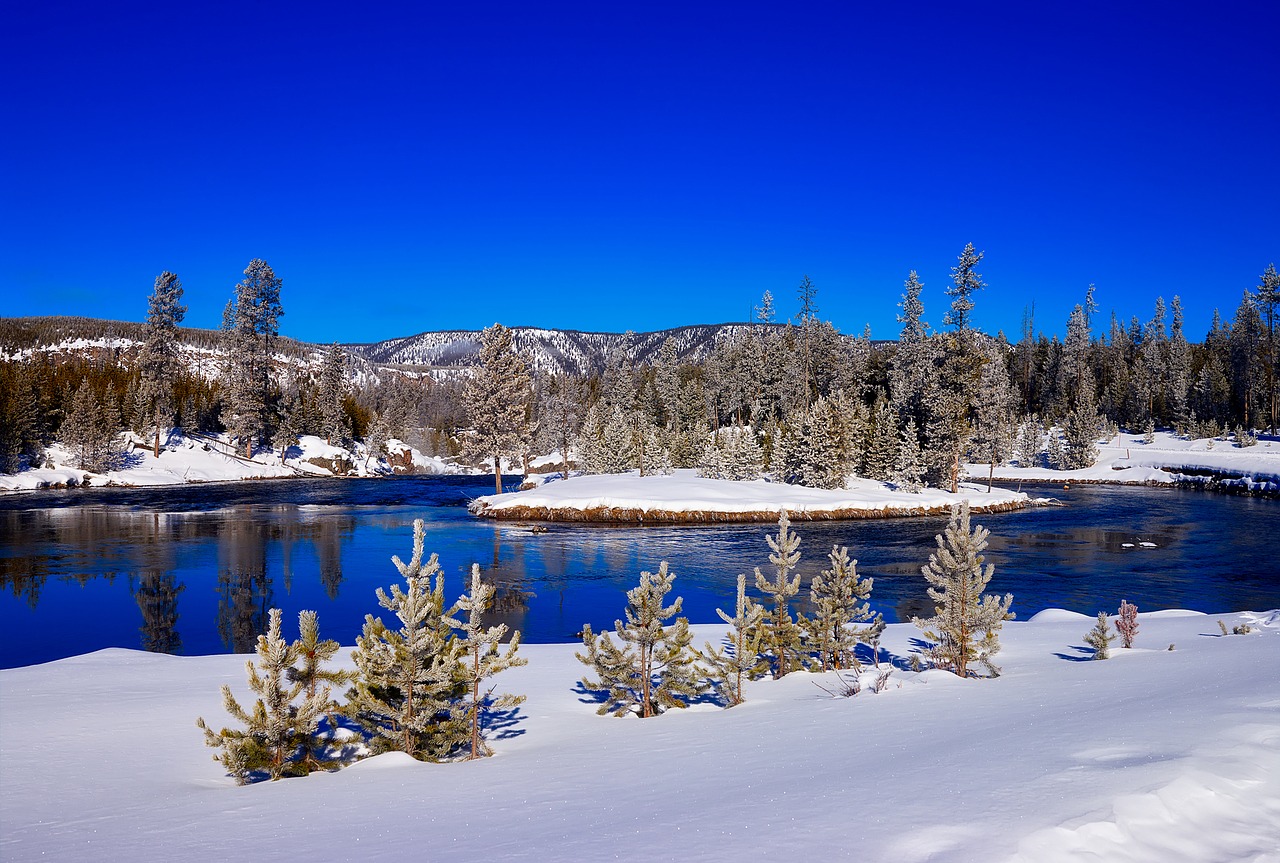 Yellowstone park photo