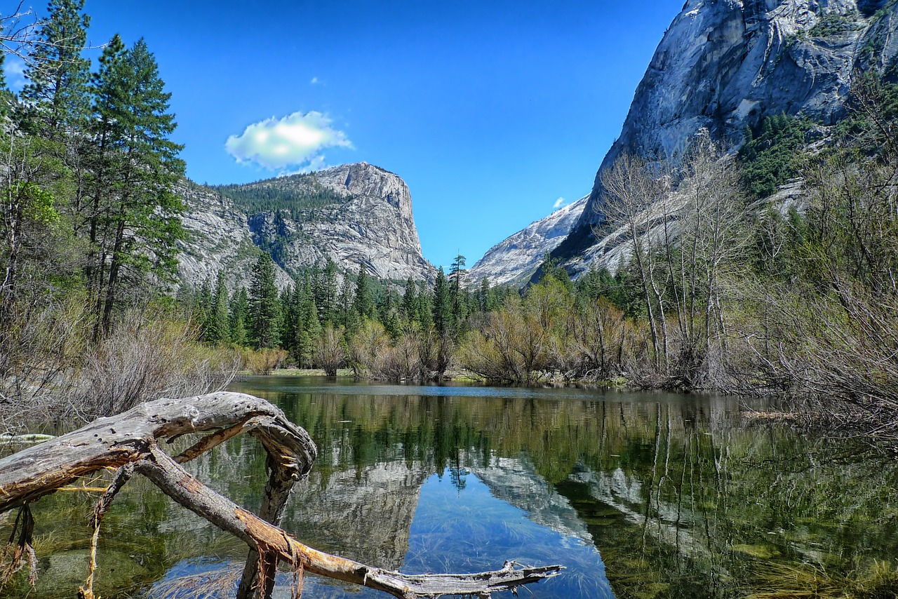 Yosemite National Park photo