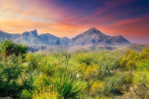 Big Bend photo